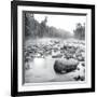 Temperance River-Stephen Gassman-Framed Giclee Print