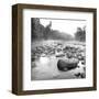 Temperance River-Stephen Gassman-Framed Art Print