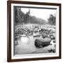 Temperance River-Stephen Gassman-Framed Art Print