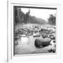 Temperance River-Stephen Gassman-Framed Art Print