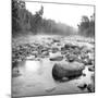 Temperance River-Stephen Gassman-Mounted Art Print