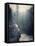 Temperance-Gordon Semmens-Framed Stretched Canvas