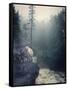 Temperance-Gordon Semmens-Framed Stretched Canvas