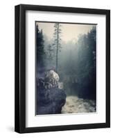 Temperance-Gordon Semmens-Framed Premium Giclee Print