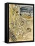 Tempest, Rackham, Act2Sce2-Arthur Rackham-Framed Stretched Canvas