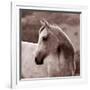 Tempest-Susan Friedman-Framed Photographic Print