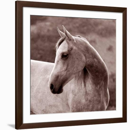 Tempest-Susan Friedman-Framed Photographic Print