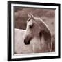 Tempest-Susan Friedman-Framed Photographic Print