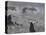 Tempete, Cotes de Belle, Ilestorm-Claude Monet-Stretched Canvas