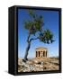 Tempio Di Concordia (Concord) and Almond Tree, Valle Dei Templi, UNESCO World Heritage Site, Agrige-Stuart Black-Framed Stretched Canvas