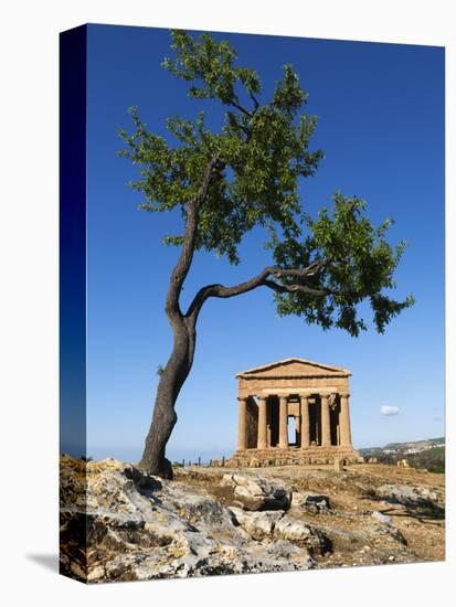 Tempio Di Concordia (Concord) and Almond Tree, Valle Dei Templi, UNESCO World Heritage Site, Agrige-Stuart Black-Stretched Canvas