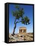 Tempio Di Concordia (Concord) and Almond Tree, Valle Dei Templi, UNESCO World Heritage Site, Agrige-Stuart Black-Framed Stretched Canvas