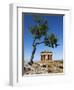 Tempio Di Concordia (Concord) and Almond Tree, Valle Dei Templi, UNESCO World Heritage Site, Agrige-Stuart Black-Framed Photographic Print