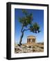 Tempio Di Concordia (Concord) and Almond Tree, Valle Dei Templi, UNESCO World Heritage Site, Agrige-Stuart Black-Framed Photographic Print