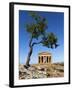 Tempio Di Concordia (Concord) and Almond Tree, Valle Dei Templi, UNESCO World Heritage Site, Agrige-Stuart Black-Framed Photographic Print