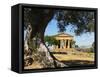 Tempio Di Concordia (Concord), Valle Dei Templi, UNESCO World Heritage Site, Agrigento, Sicily, Ita-Stuart Black-Framed Stretched Canvas