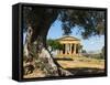 Tempio Di Concordia (Concord), Valle Dei Templi, UNESCO World Heritage Site, Agrigento, Sicily, Ita-Stuart Black-Framed Stretched Canvas