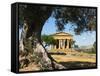 Tempio Di Concordia (Concord), Valle Dei Templi, UNESCO World Heritage Site, Agrigento, Sicily, Ita-Stuart Black-Framed Stretched Canvas