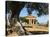 Tempio Di Concordia (Concord), Valle Dei Templi, UNESCO World Heritage Site, Agrigento, Sicily, Ita-Stuart Black-Stretched Canvas