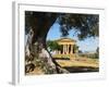 Tempio Di Concordia (Concord), Valle Dei Templi, UNESCO World Heritage Site, Agrigento, Sicily, Ita-Stuart Black-Framed Photographic Print