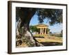 Tempio Di Concordia (Concord), Valle Dei Templi, UNESCO World Heritage Site, Agrigento, Sicily, Ita-Stuart Black-Framed Photographic Print