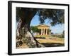 Tempio Di Concordia (Concord), Valle Dei Templi, UNESCO World Heritage Site, Agrigento, Sicily, Ita-Stuart Black-Framed Photographic Print