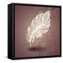 Template with Peerless Feather on Ornate Background-IrinaKrivoruchko-Framed Stretched Canvas