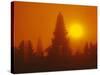 Temple at Sunrise, Bali, Indonesia-Steve Vidler-Stretched Canvas