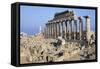 Temple C, Selinunte, Sicily, Italy-null-Framed Stretched Canvas