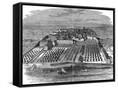 Canvas Black