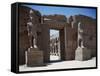 Temple Complex of Amon, Support Column from Temple of Ramses III, with Royal Giants-null-Framed Stretched Canvas