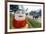 Temple Decoration, Nget Pyaw Taw Pagoda, Pindaya, Myanmar (Burma), Asia-Christian Kober-Framed Photographic Print