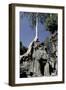 Temple Engulfed by Tree Roots, Angkor World Heritage Site, Siem Reap, Cambodia-null-Framed Photographic Print