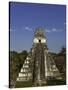 Temple I or Temple of the Giant Jaguar at Tikal-Danny Lehman-Stretched Canvas