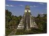 Temple I or Temple of the Giant Jaguar at Tikal-Danny Lehman-Mounted Photographic Print