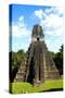 Temple I (Temple of the Giant Jaguar) at Tikal, Guatemala, Central America-Godong-Stretched Canvas