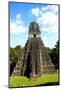Temple I (Temple of the Giant Jaguar) at Tikal, Guatemala, Central America-Godong-Mounted Photographic Print