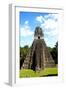 Temple I (Temple of the Giant Jaguar) at Tikal, Guatemala, Central America-Godong-Framed Photographic Print