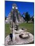 Temple I, Tikal, Guatemala-John Elk III-Mounted Photographic Print