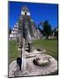 Temple I, Tikal, Guatemala-John Elk III-Mounted Photographic Print