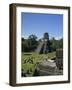 Temple II, Great Plaza, Tikal, UNESCO World Heritage Site, Guatemala, Central America-Traverso Doug-Framed Photographic Print