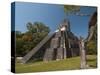 Temple Ii, Mayan Archaeological Site, Tikal, Guatemala-Sergio Pitamitz-Stretched Canvas