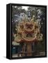Temple in Cedar Forest, Alishan National Forest Recreation Area, Chiayi County, Taiwan-Christian Kober-Framed Stretched Canvas