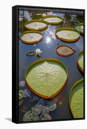 Temple in Sa Dec. Vietnam.-Tom Norring-Framed Stretched Canvas