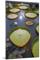 Temple in Sa Dec. Vietnam.-Tom Norring-Mounted Photographic Print