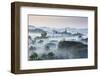 Temple in the mist at dawn, Mrauk U, Burma, Myanmar-Tim Mannakee-Framed Photographic Print