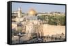 Temple Mount, Dome of the Rock, Redeemer Church and Old City in Jerusalem, Israel, Middle East-Alexandre Rotenberg-Framed Stretched Canvas