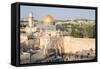 Temple Mount, Dome of the Rock, Redeemer Church and Old City in Jerusalem, Israel, Middle East-Alexandre Rotenberg-Framed Stretched Canvas