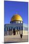 Temple Mount, Jerusalem, Israel, Middle East,-Neil Farrin-Mounted Photographic Print