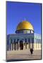 Temple Mount, Jerusalem, Israel, Middle East,-Neil Farrin-Mounted Photographic Print